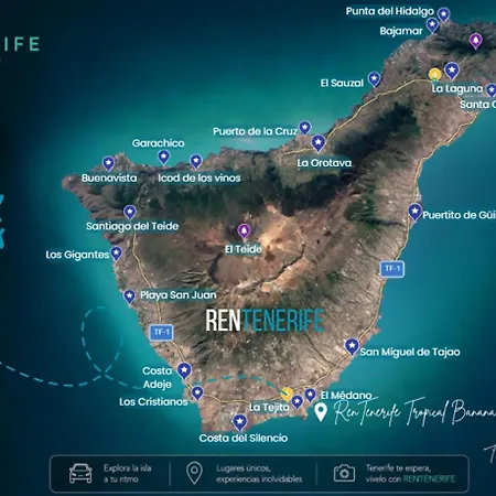 Rentenerife Tropical Banana - *